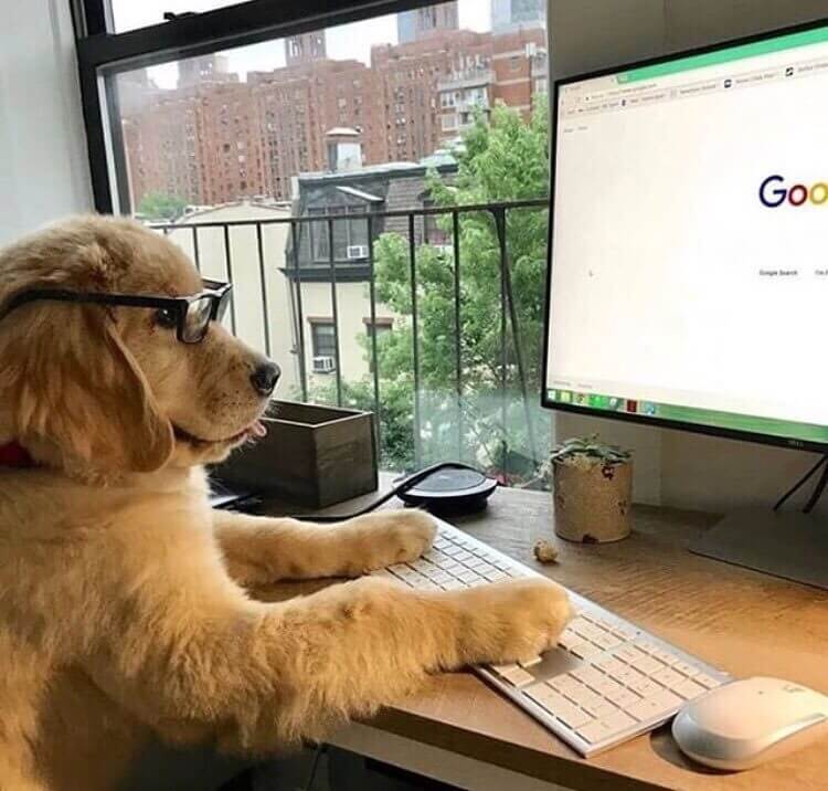 googling