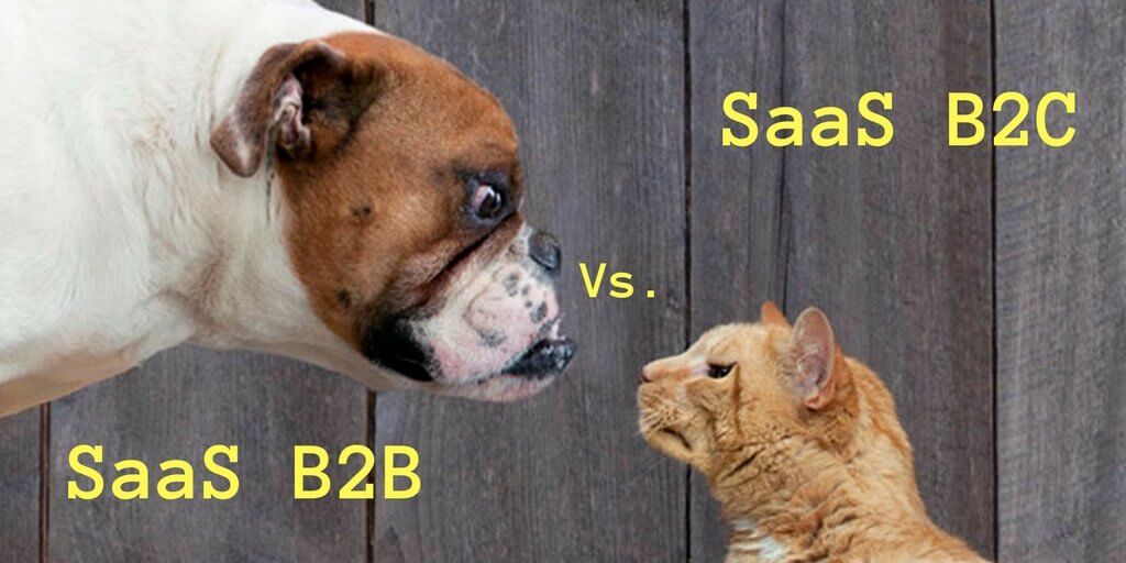 SaaS B2B vs SaaS B2C - Differences