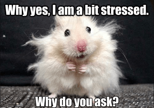 a bit stressed