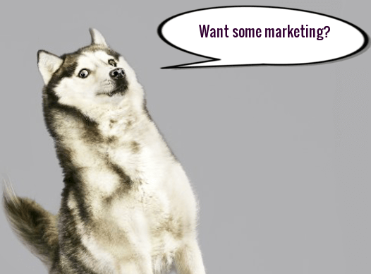 saas marketing